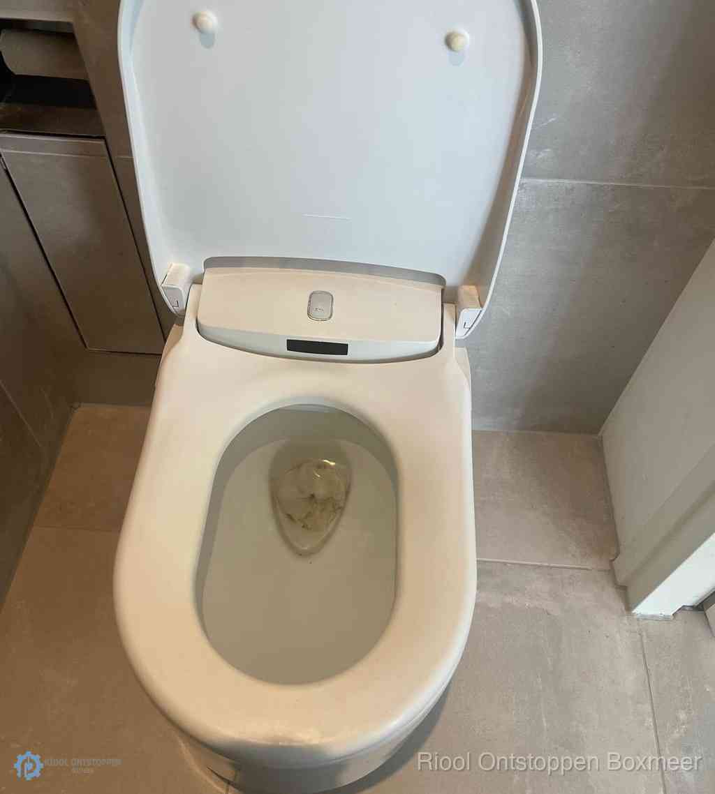 Toilet Ontstoppen Boxmeer